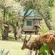 Xaro Lodge, Shakawe (foto 6)