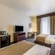 Cobblestone Hotel & Suites - Stevens Point, Stevens Point (Foto 4)