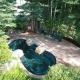 Townhome in Beaver Creek Mountain View, Beaver Creek (Foto 6)