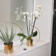 LuMa Suite Via Veneto - Your luxury style 29, Roma - Foto 2
