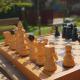 apartma Jelka, Novigrad – Istrie (fotografie 10)