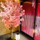 Sakura Sky Hotel, Tokio - Fotografie 10