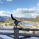 Snowdrift Peak 203 Condo