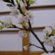 Wakaba Ryokan / Vacation STAY 29366