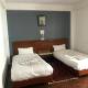 Hotel Earth House, Kathmandu (foto 9)