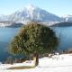 CHALET EGGLEN Typical Swiss House, Best Views, Private Jacuzzi, Sigriswil (zdjęcie 2)
