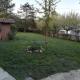 Villa Laura, Incisa Scapaccino (foto 3)
