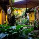 Hotel Dainzu, Città di Oaxaca (foto 7)