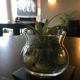 Bird Rock Hotel, Friday Harbor (foto 9)