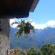 B&B La Quana, Domodossola (foto 4)