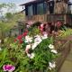 Tavan View Homestay, Sapa - Fotografie 7