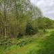 Brembroeken, De Houtendonck, Vortum-Mullem (fotografie 9)