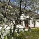 Vendel Guesthouse, Lutoasa - 写真 4