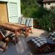 Green Paradise, Visoko (photo 7)