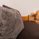 Pension Maislinger, Fieberbrunn (photo 4)