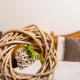 Pension Maislinger, Fieberbrunn (photo 10)