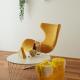 Apartment The Place, Novigrad (Cittanova d'Istria) (foto 3)