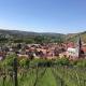 Ferienwohnung am Weinberg, Randersacker - Photo 8