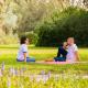Gvulot - Kibbutz experience