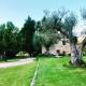 Agro-Turismo - Quinta do Pinheiro, Cavadoude (fotografie 7)