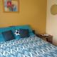 The Lazy Cow Accommodation, Murchison (fotografie 3)
