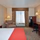 Holiday Inn Express Hotel and Suites - Henderson by IHG, Las Vegas - Photo 4