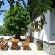 Rustic Inn River 2, Laghi di Plitvice (foto 6)