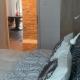 Apartament Szymek Toruń - Foto 7