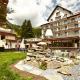 Hotel Meierhof Davos - Zdjęcie 6