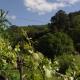 Casa en Viñoas (Ribeira Sacra), Viñoás (fotografie 7)
