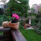 Ferienwohnung im Harz-Haus-Bruns, Clausthal-Zellerfeld - Photo 9