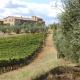 Linearis Holiday House