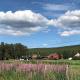 Roste Hyttetun og Camping, Os - 写真 1