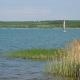 Feriendomizil am Störmthaler See, Lagovida, Leipziger Neuseenland, Großpösna, Privatstrand, Großpösna - Foto 4