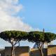 House Candia 111 - Vatican Museum apartment, Roma - Foto 3
