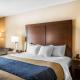 Comfort Inn & Suites Blue Ridge - Fotografie 8