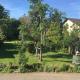 Ferienweingut Willems, Konz-Oberemmel - Photo 6