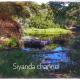Chinderera Eco Lodge, Manguzi (zdjęcie 8)