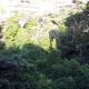 In Itinera, Palerme - Photo 4