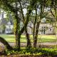 West Cottage, Cerne Abbas Lane, Dorchester (fotografie 3)