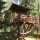 Tahkuna tree-house, Malvaste