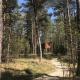 Tahkuna tree-house, Malvaste (zdjęcie 5)