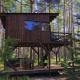 Tahkuna tree-house, Malvaste (zdjęcie 3)