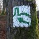 Robinson Crusoe, Waldbrunn - Photo 5
