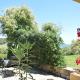Domus Carlotta Apartment with sea view Villasimius, Is Traias (fotografie 5)