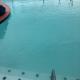 All Seasons Inn & Suites, Memphis (foto 4)