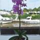 Boatyard View, Sandwich (photo 3)