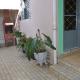 Hospedagem Centro Champagnat, Londrina - Fotografie 6