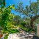 Apartment Garden by the sea Rogoznica - Fotografie 8