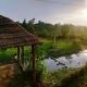 Nature Care Village- Rajaji National Park, Rishikesh - Foto 2